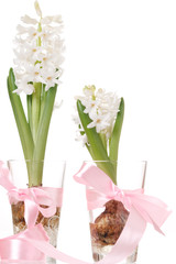 flowers in the glass