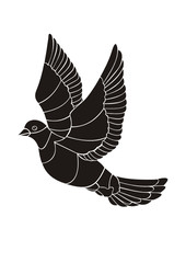 pigeon vector