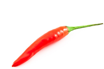 chili isolated background