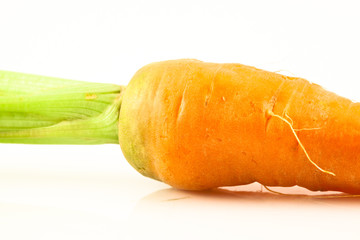 Fresh carrot isolated