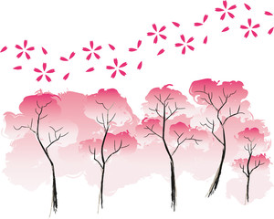 Fototapeta premium 桜の木