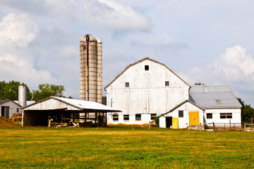 Fototapeta na wymiar farm house with field and silo