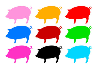 Collection of pigs