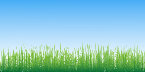 Grass on sky background vector illustration.