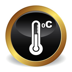 THERMOMETR ICON