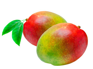 Mango isolated on white background