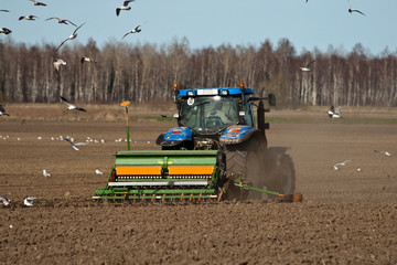 Tractor sowing seed