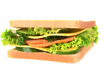 Sandwich isolated on white