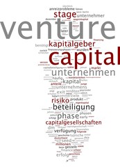 Venture Capital