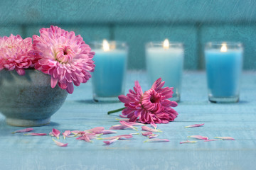 Pink chrysanthemum flowers with candles
