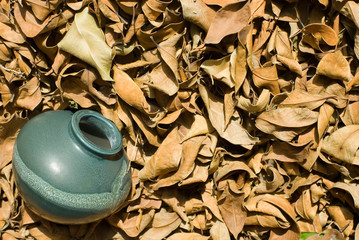dried-up fallen leaves with old chinese pottery.