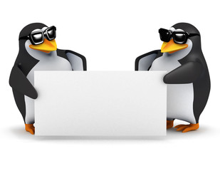 3d Penguins hold up a blank sign for you - obrazy, fototapety, plakaty