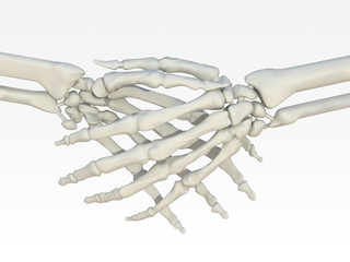 skeleton handshake