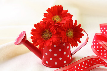 Red gerber flowers in red watering can