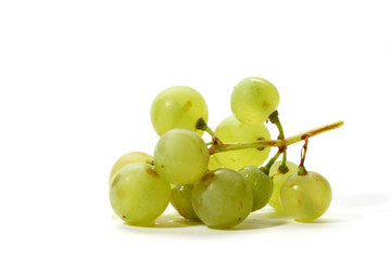 isolated grape
