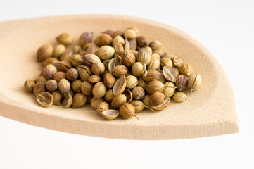 Koriander auf Holzkochlöffel