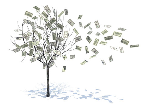 tree with leaves falling notes