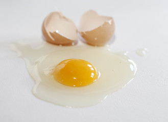 l'oeuf