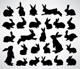 Naklejka premium big collection of rabbit silhouettes