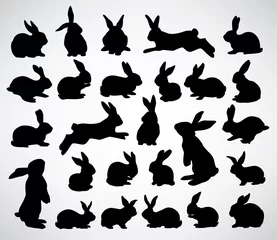 Fotobehang big collection of rabbit silhouettes © Levente Janos