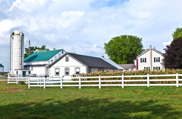 Obraz premium farm house with field and silo