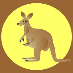 kangaroo, vector illustration