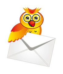 cartoon owl isolated over white background