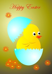 Happy Easter, chick at egg, vector illustration