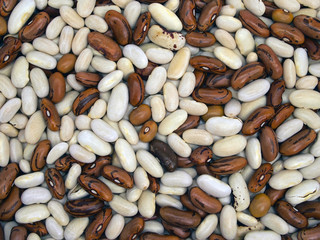kidney beans