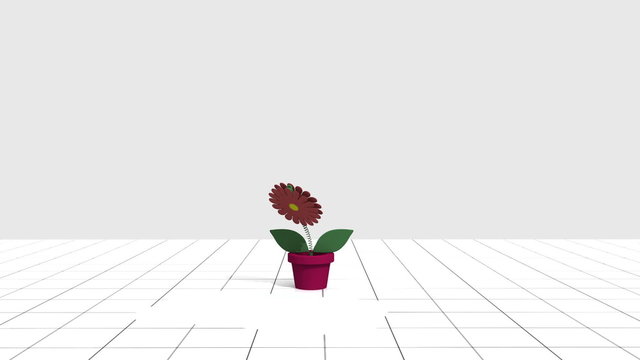 Animation of a flower