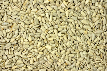 sunflower seeds background