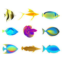 Fototapeta premium Colorful Fishes