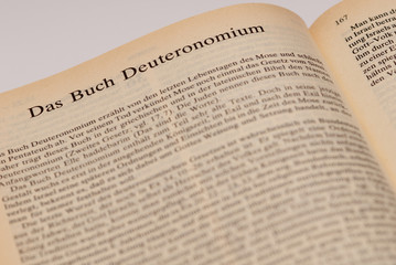 Das Buch Deuteronominum