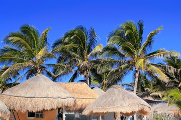 Fototapeta na wymiar coconut palm tree blue sky hut palapa sun roof