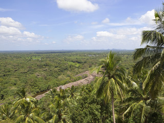 Fototapeta na wymiar sri lankan landscape