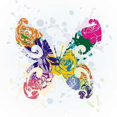 Obraz premium vector butterfly