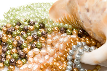 perle con conchiglia