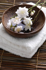 Fototapeta na wymiar cherry blossom in wooden bowl on towel