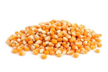 granos de maíz enteros sobre fondo blanco