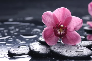 Foto op Plexiglas stilleven met kiezelsteen en macro van orchidee met waterdruppels © Mee Ting