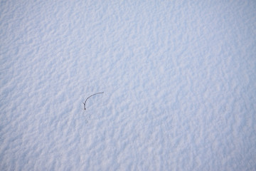 wilderness snow in china northern