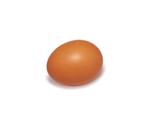 A single egg on a white background