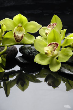 Spa still life with green orchid with reflection