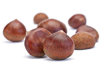 Brown chestnut