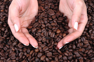 manos de mujer sosteniendo muchos granos de café