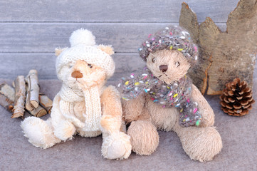 ours en peluche, hiver