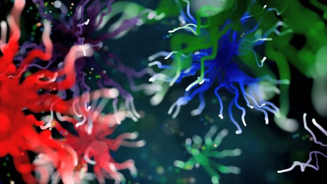 Microcosmos