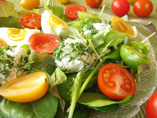 Salat mit wilden Tomaten und Frischkäsebällchen mit Kresse