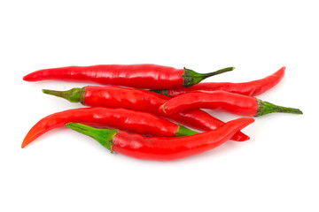 Red hot chili pepper