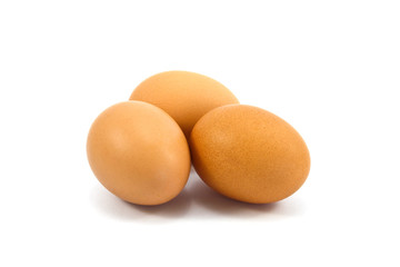egg